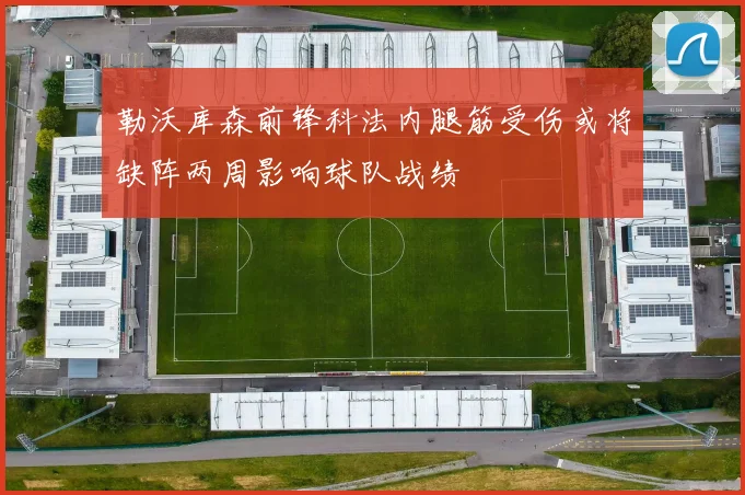 勒沃库森前锋科法内腿筋受伤或将缺阵两周影响球队战绩